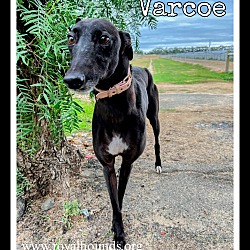 Photo of Varco