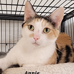 Photo of Annie