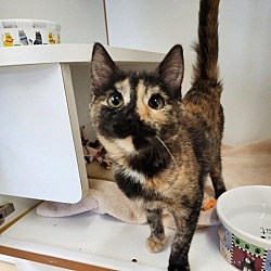 Photo of Kay