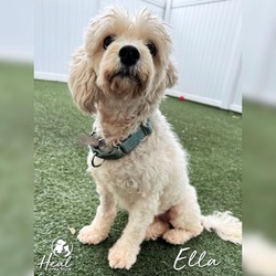 Photo of Ella