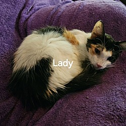 Thumbnail photo of Lady #1