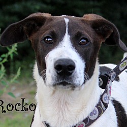 Thumbnail photo of Rocko ~ meet me! #1