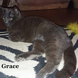 Photo of Grace