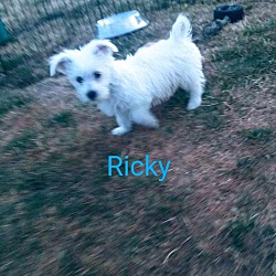 Photo of Ricky