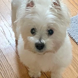Photo of Nila