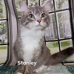 Photo of Stanley