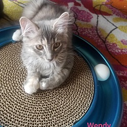 Photo of Wendy-(glenna)