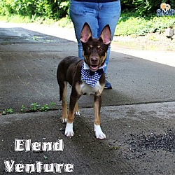 Thumbnail photo of Elend Venture #2