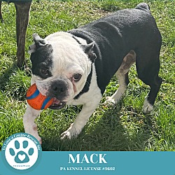 Thumbnail photo of Mack 092124 #4