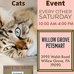 Photo of Willow Grove PetSmart Adoption Event 5/11 & 5/25