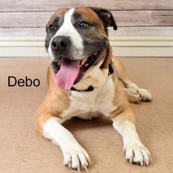 Thumbnail photo of Debo #2