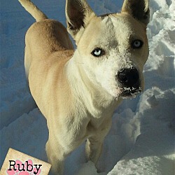 Thumbnail photo of Ruby Tuesday #1