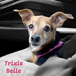 Photo of TRIXIE BELLE