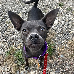 Photo of Bertha
