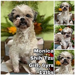 Thumbnail photo of Monica from Korea #1