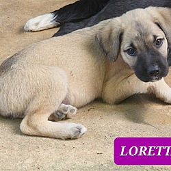 Photo of Loretta