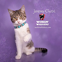 Thumbnail photo of JEREMY CHETRI #3