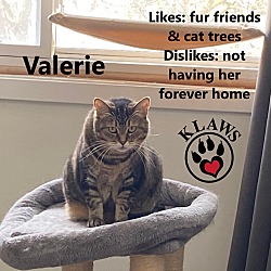 Thumbnail photo of Valerie #3