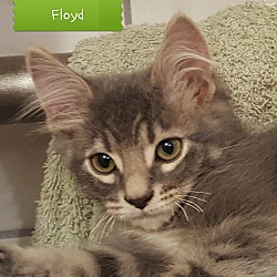 Photo of Floyd