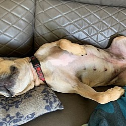 Thumbnail photo of LILY #4