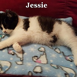 Thumbnail photo of Jessie #3