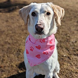 Photo of Molly