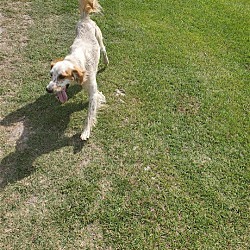 Photo of Zippity