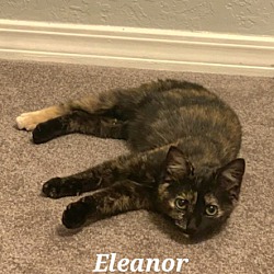 Photo of Eleanor