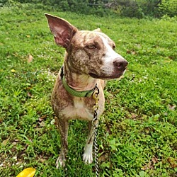 Thumbnail photo of Lucy #2