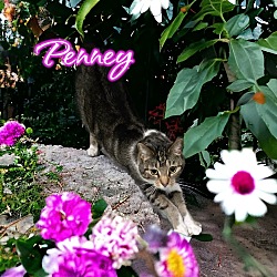 Photo of Penney