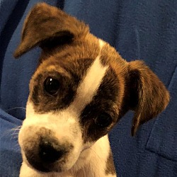 Photo of Lasso
