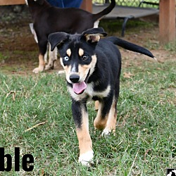 Thumbnail photo of Noble #2