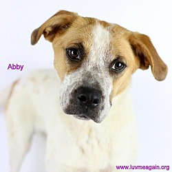 Photo of Abby