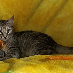 Photo of Taki