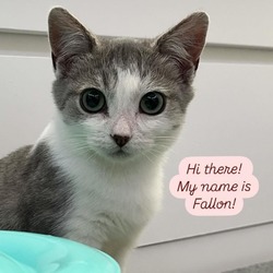 Thumbnail photo of Fallon #4