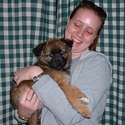 Thumbnail photo of Kiwi-adopted #1