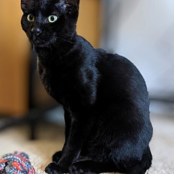 Photo of Larry