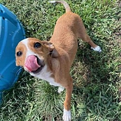 Photo of Casey