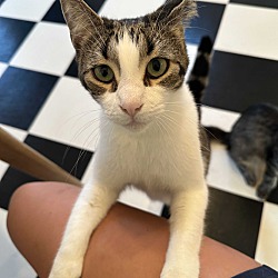 Photo of Jaspurr