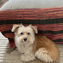 Photo of Ruff “Bader” Ginsburg