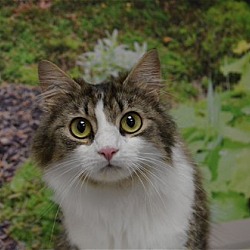 Photo of Callie