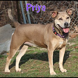 Photo of Priya