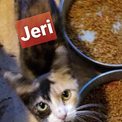Photo of JERI