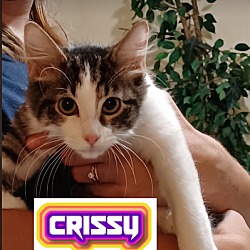Photo of Crissy