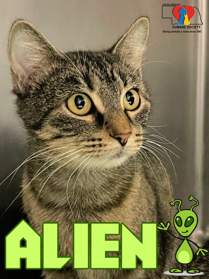 Photo of Alien