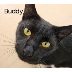 Thumbnail photo of Buddy #1