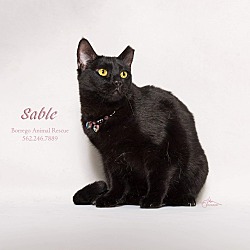 Photo of SABLE