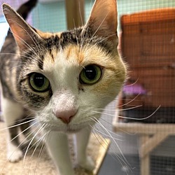 Photo of Aspen