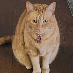 Photo of Nikita 