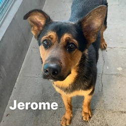 Photo of JEROME-A2118570